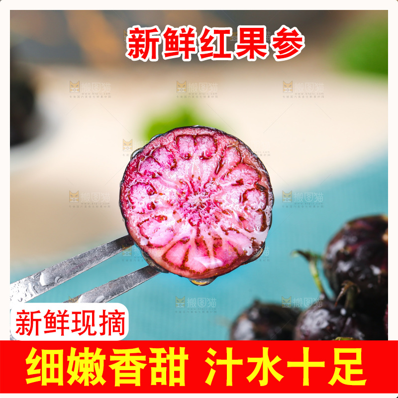 浅底上的红果参