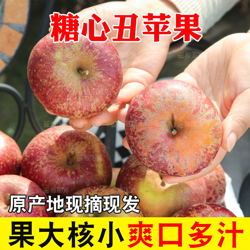 外景糖心苹果