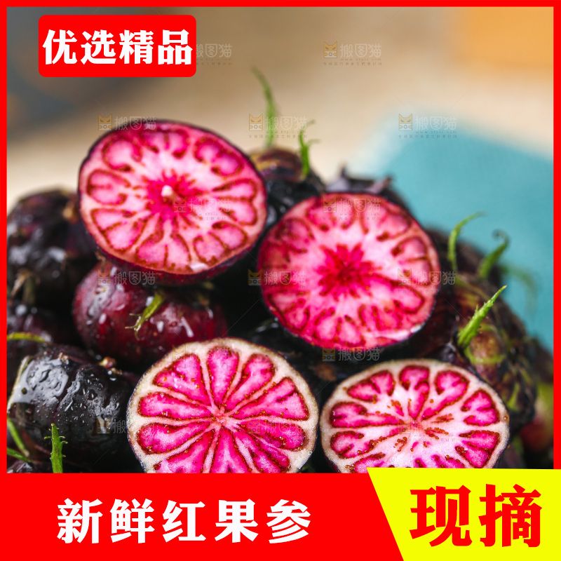 浅底上的红果参