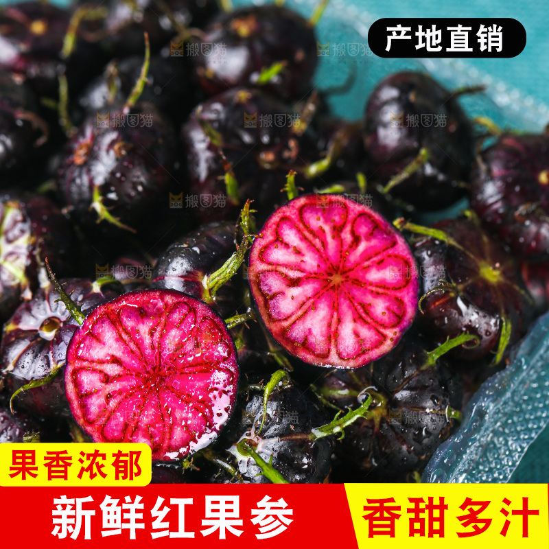 浅底上的红果参
