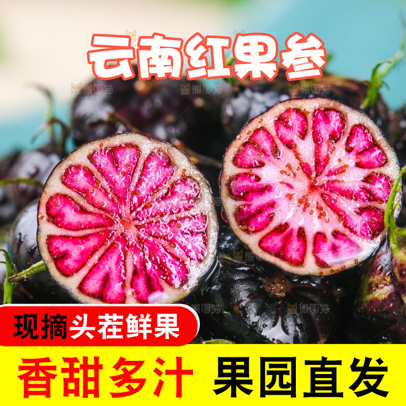 浅底上的红果参