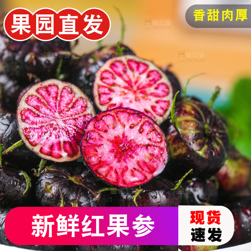 浅底上的红果参