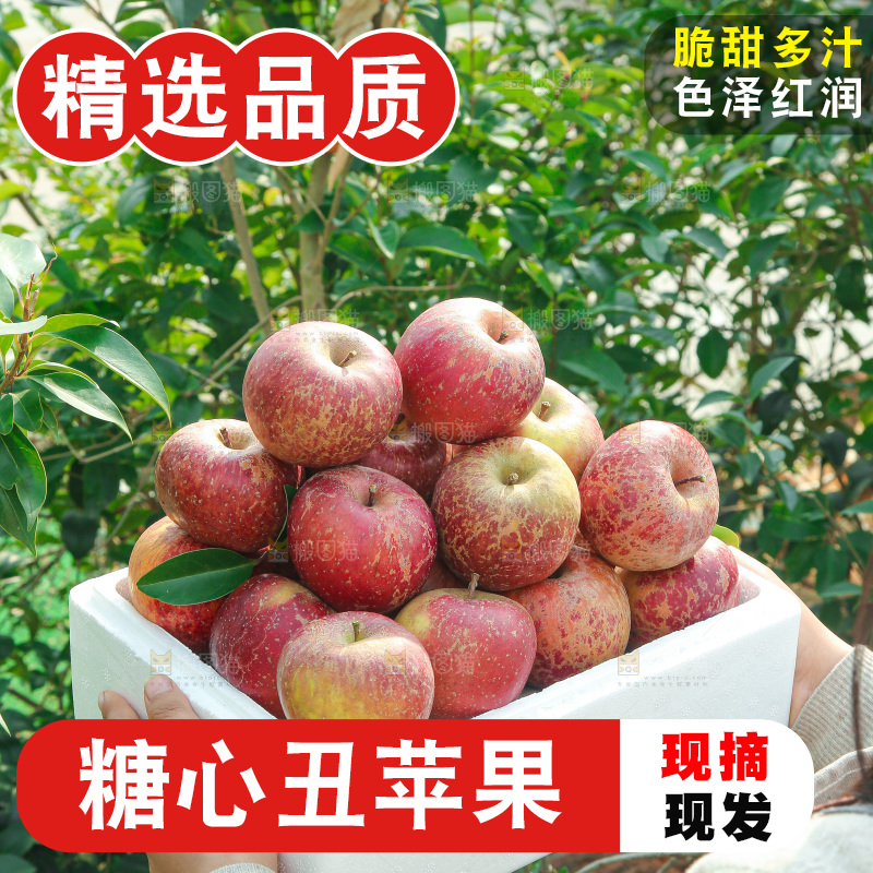 外景糖心苹果