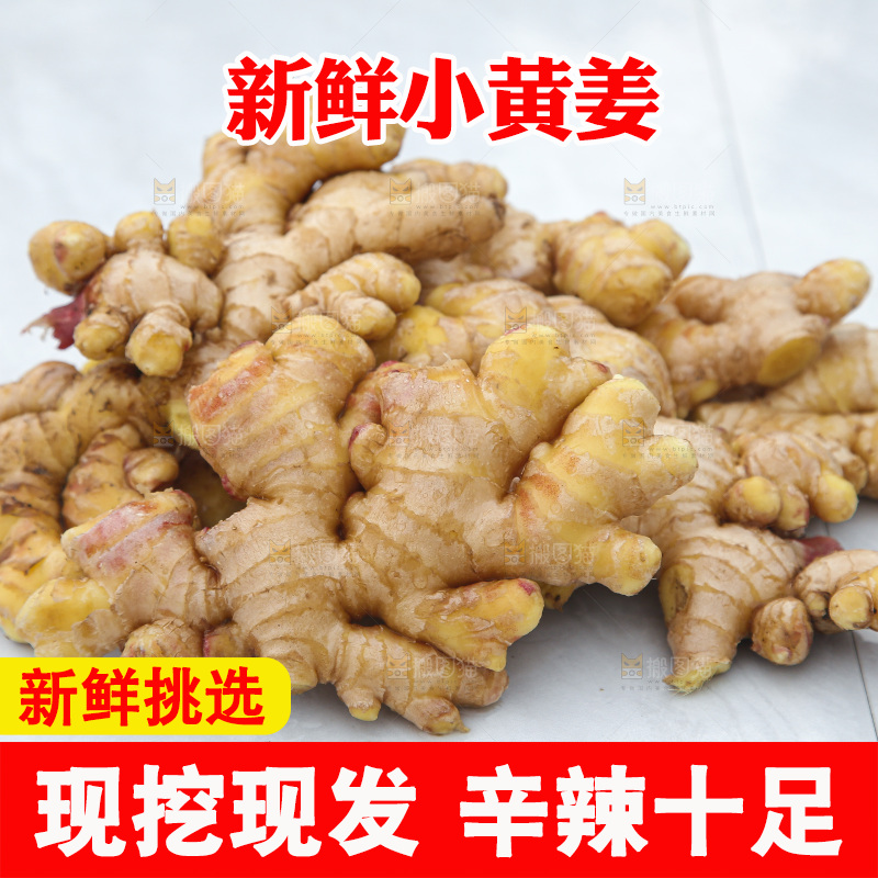 浅底上的小黄姜