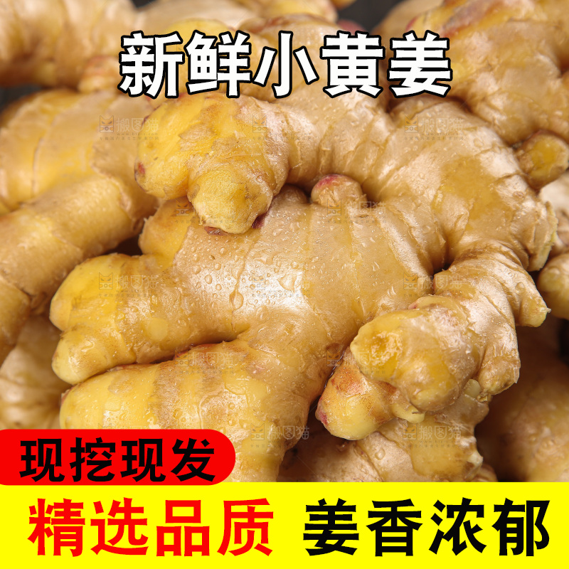 深底上的小黄姜