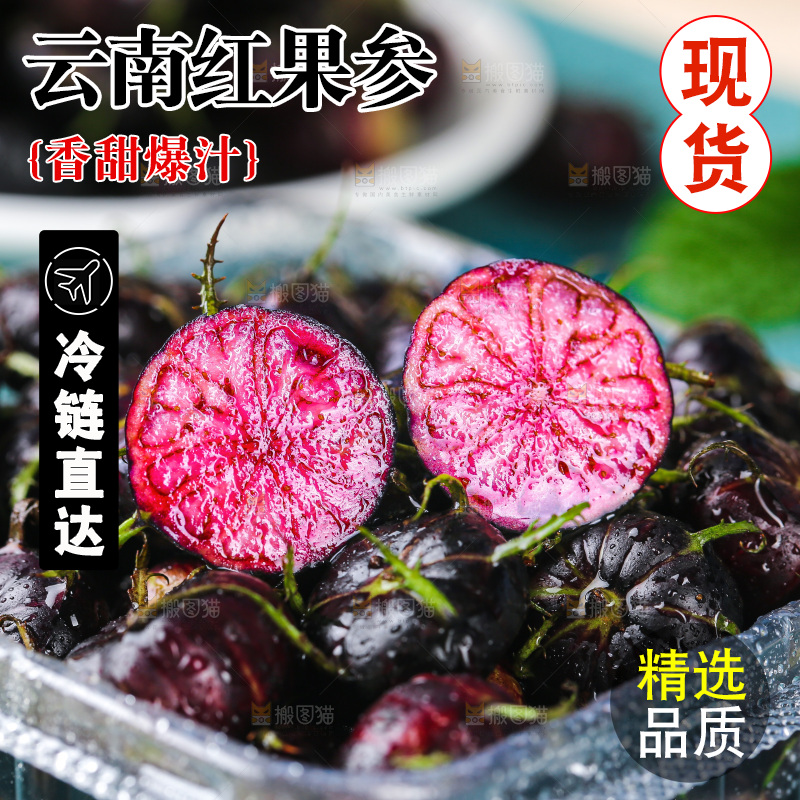 浅底上的红果参
