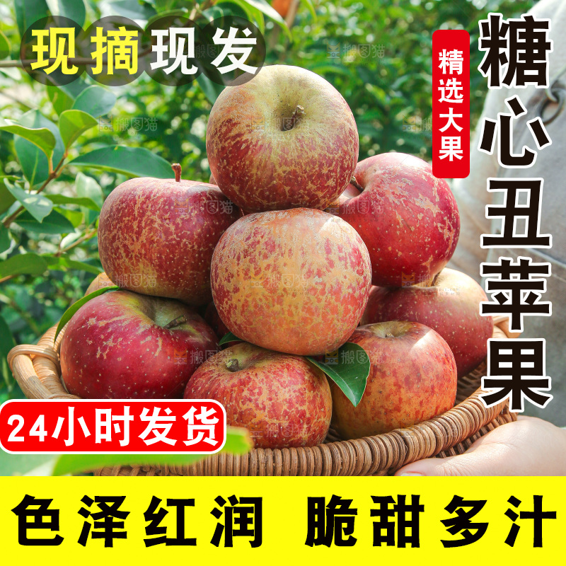 外景糖心苹果
