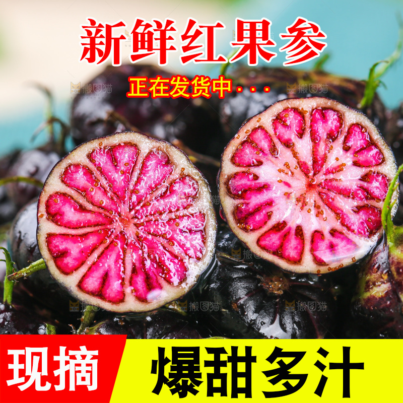浅底上的红果参