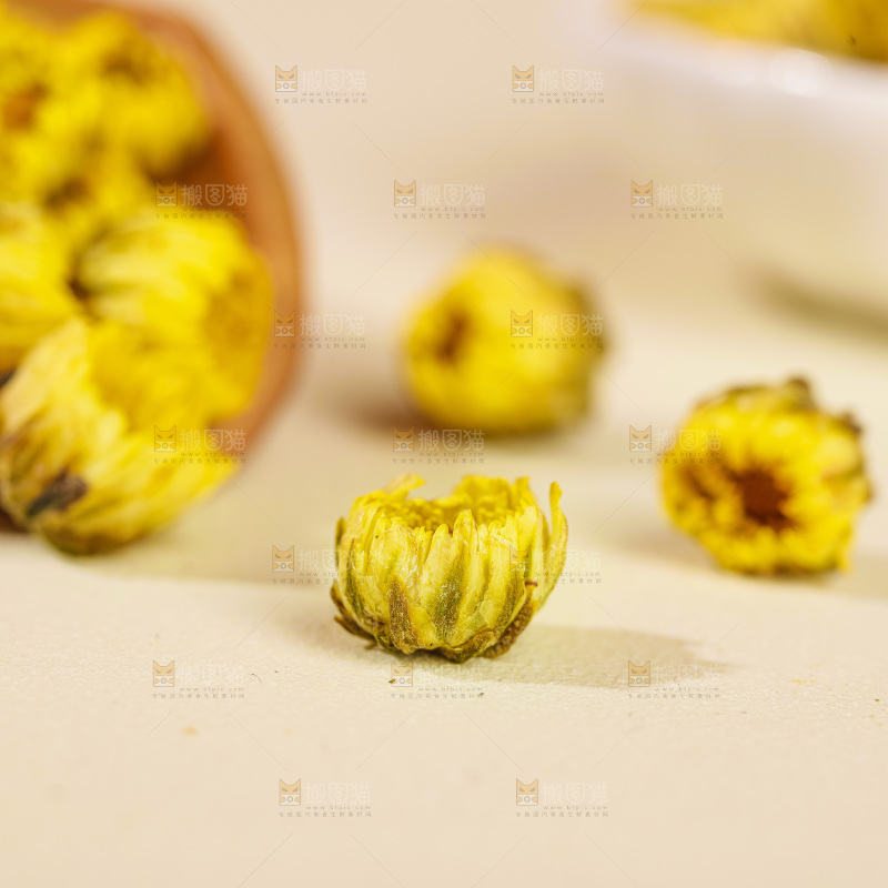 浅底上的胎菊