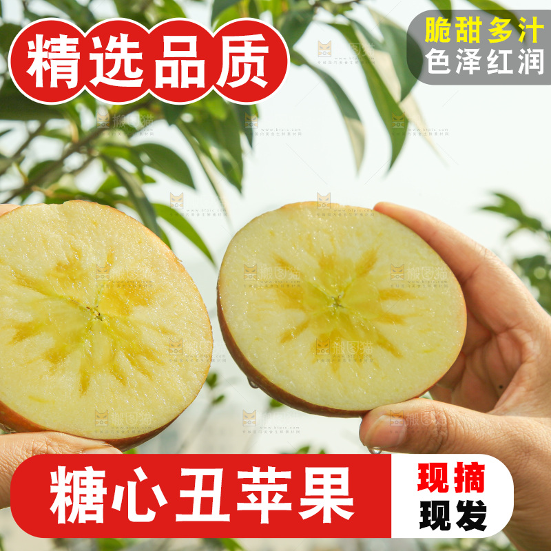 外景糖心苹果