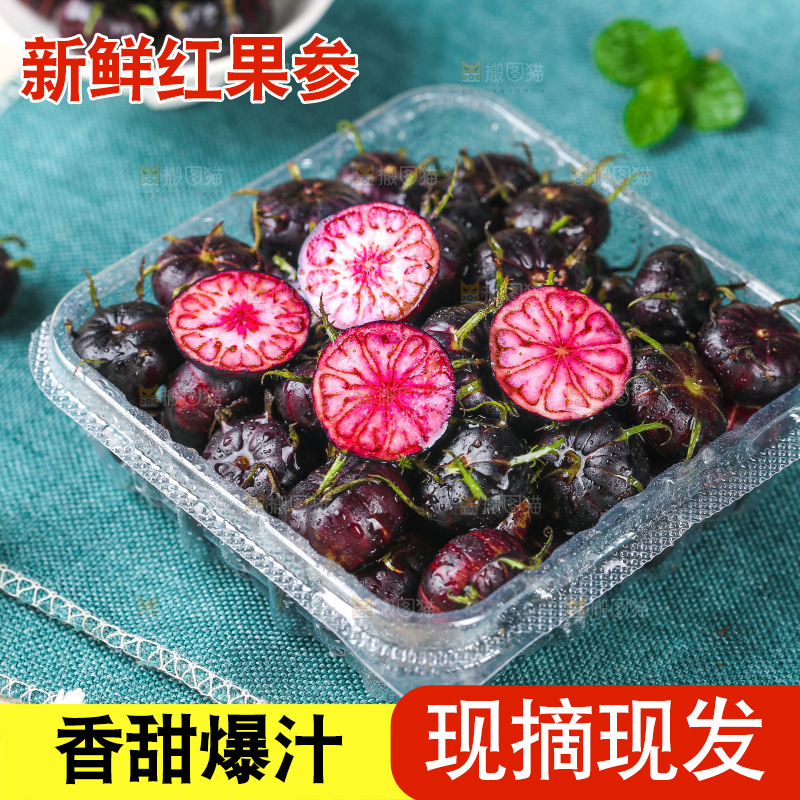 浅底上的红果参