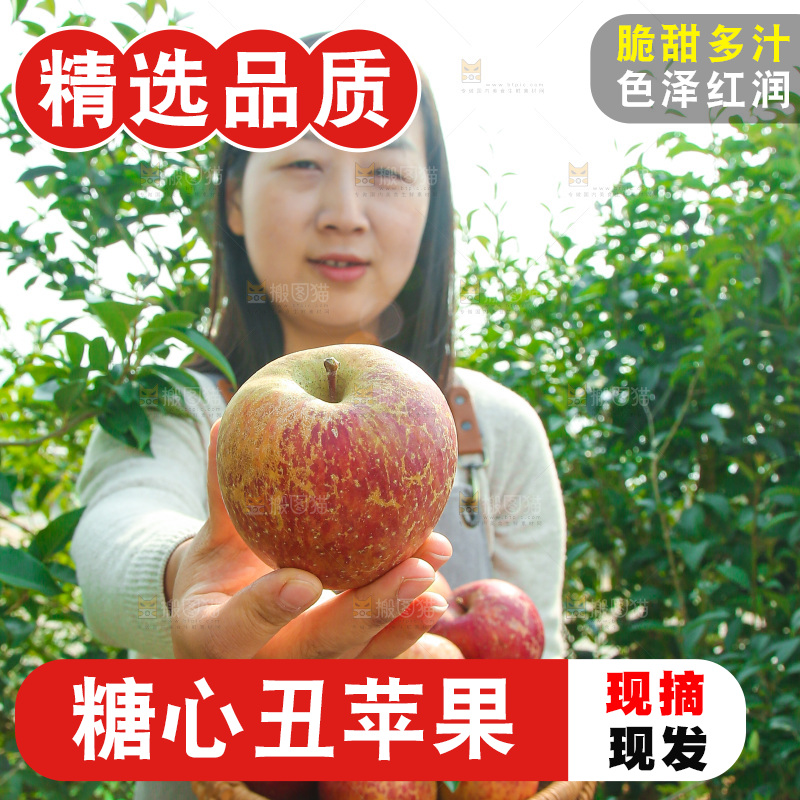外景糖心苹果