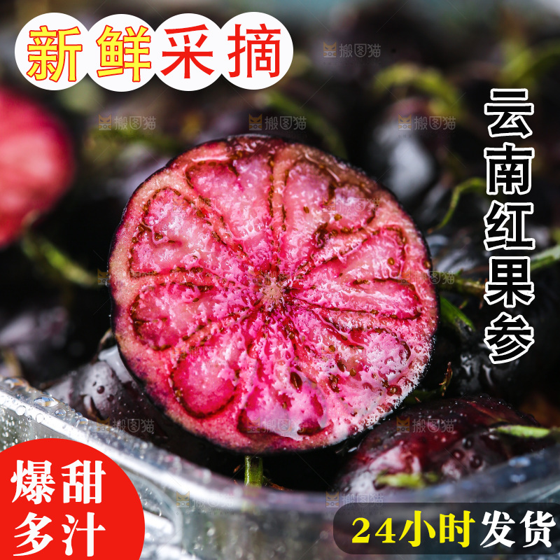 浅底上的红果参
