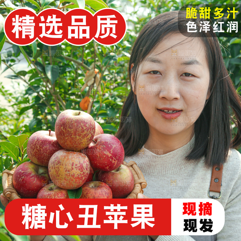 外景糖心苹果