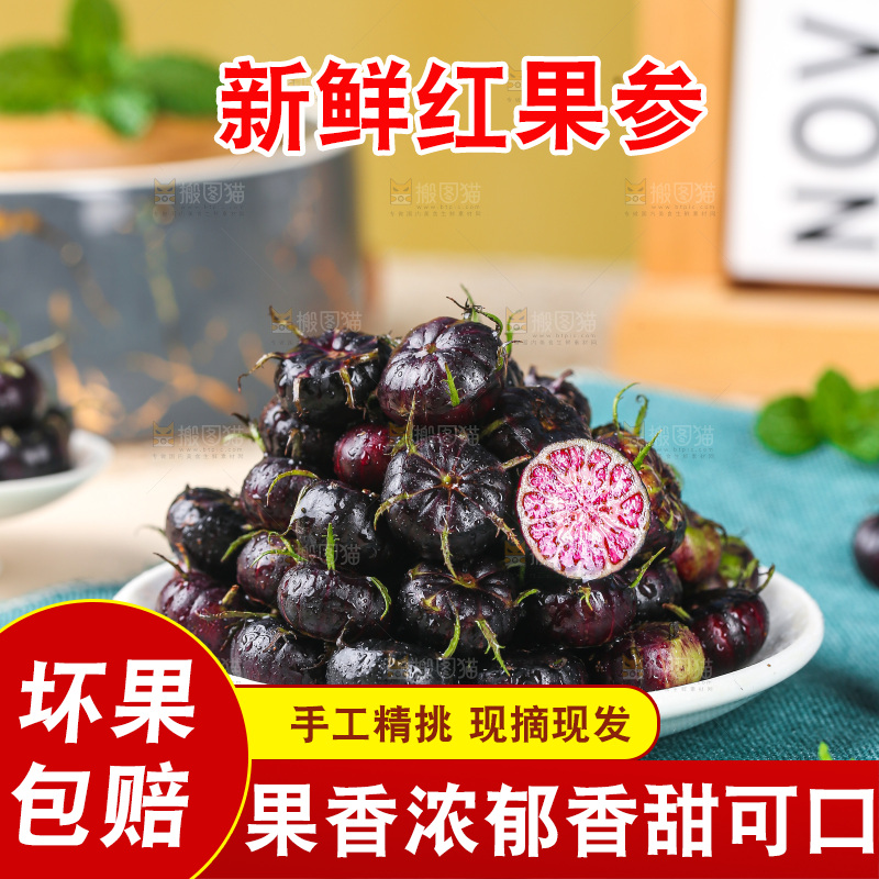 浅底上的红果参