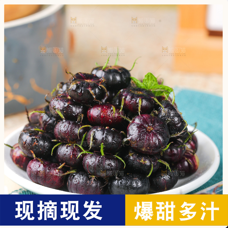 浅底上的红果参
