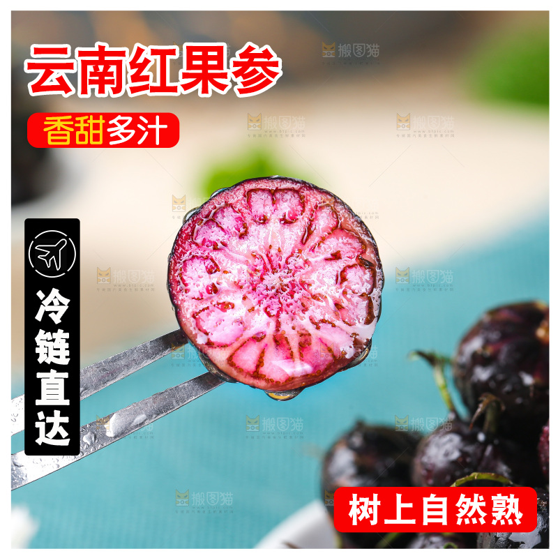 浅底上的红果参