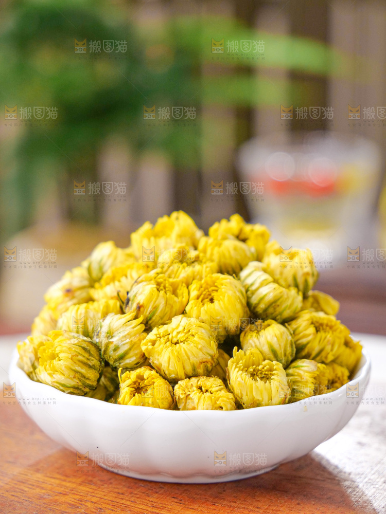 深底上的胎菊