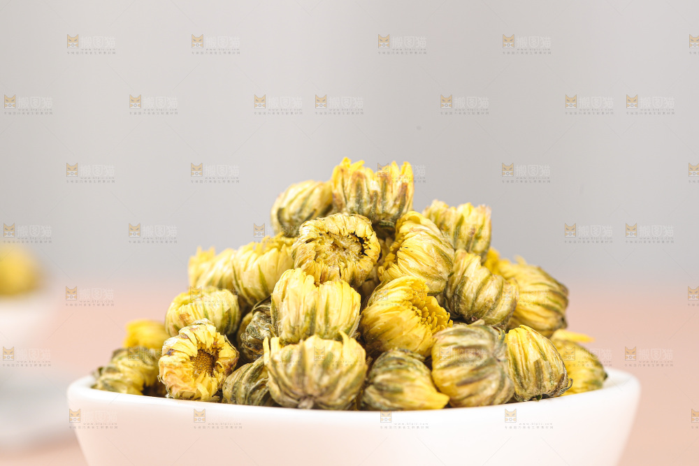 浅底上的胎菊