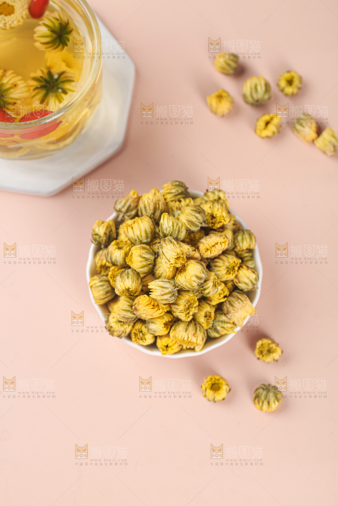 浅底上的胎菊