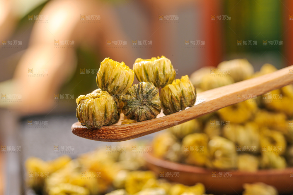深底上的胎菊