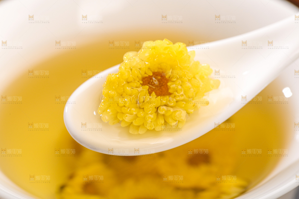深底上的胎菊