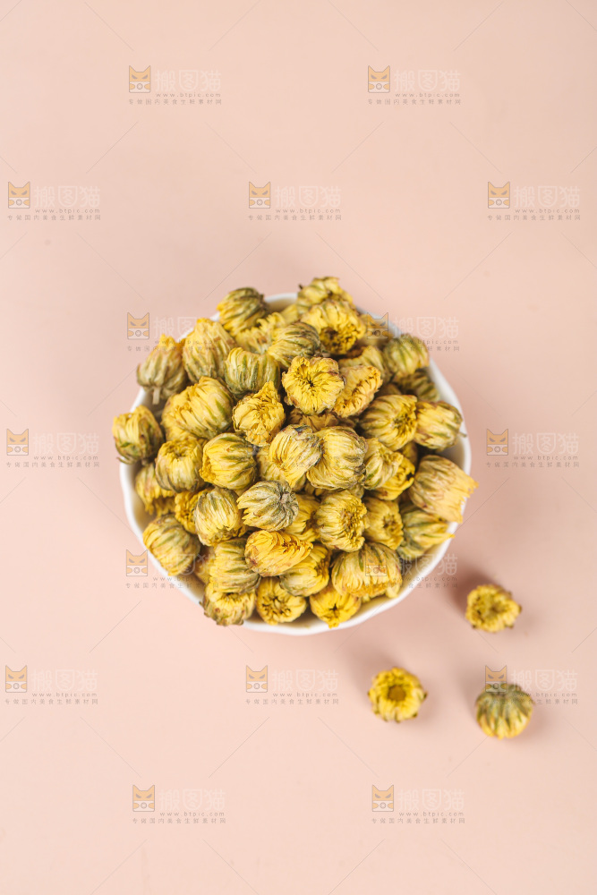 浅底上的胎菊