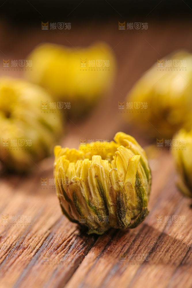 深底上的胎菊