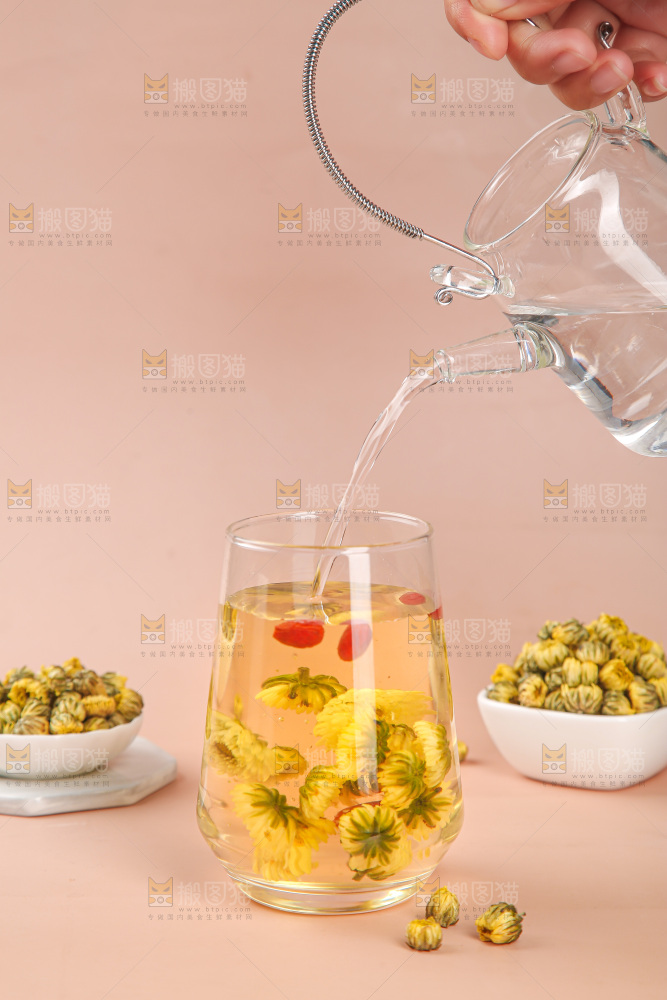 浅底上的胎菊