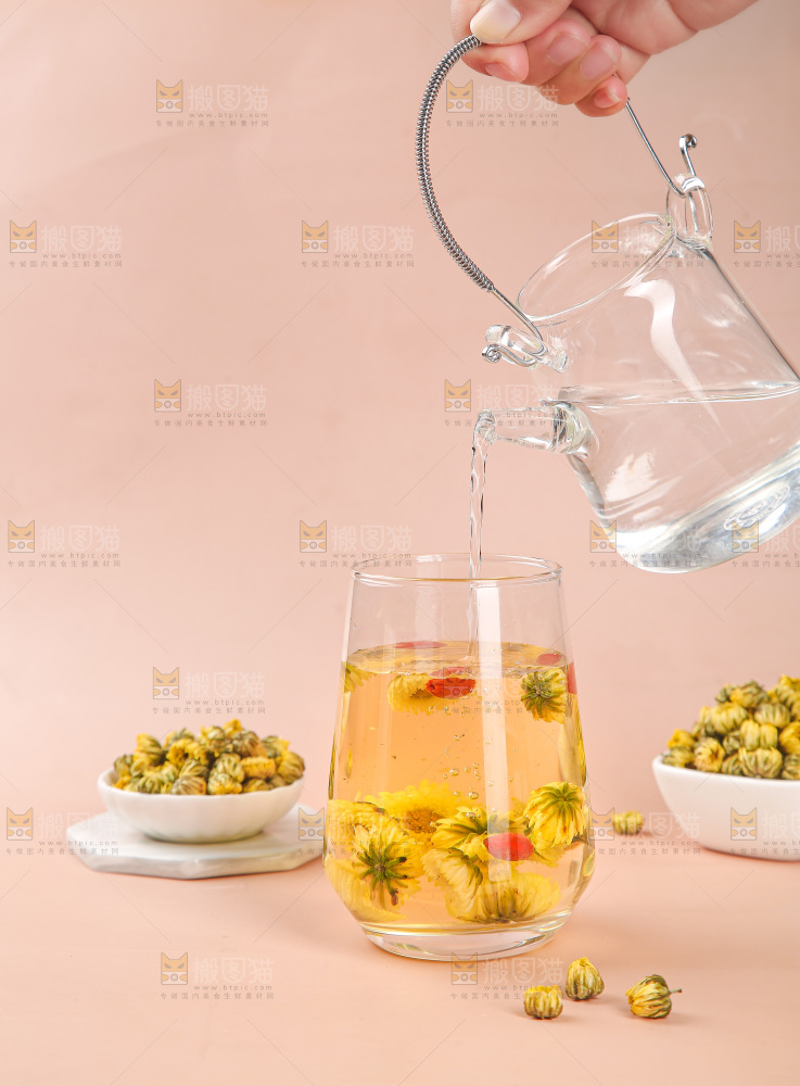 浅底上的胎菊