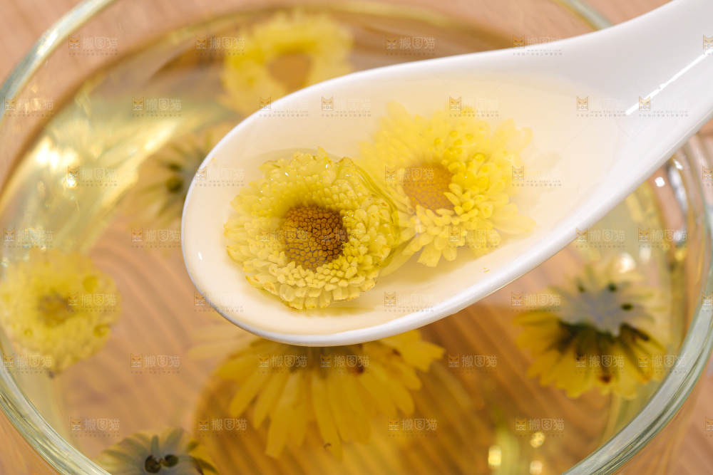深底上的胎菊