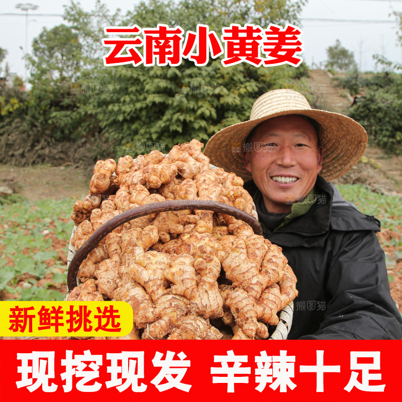 篮子里装着新鲜小黄姜
