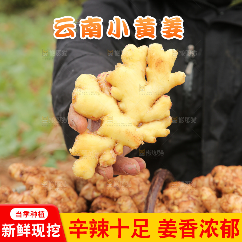 篮子里装着新鲜小黄姜