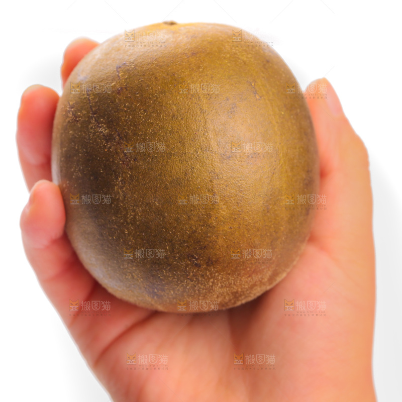 白底上的罗汉果