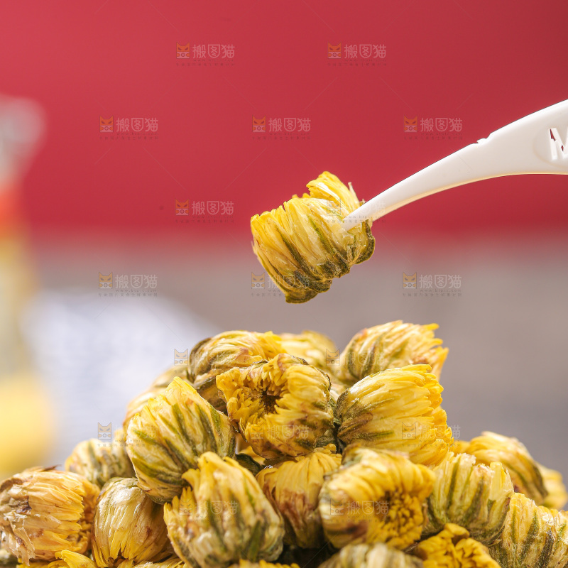 深底上的胎菊