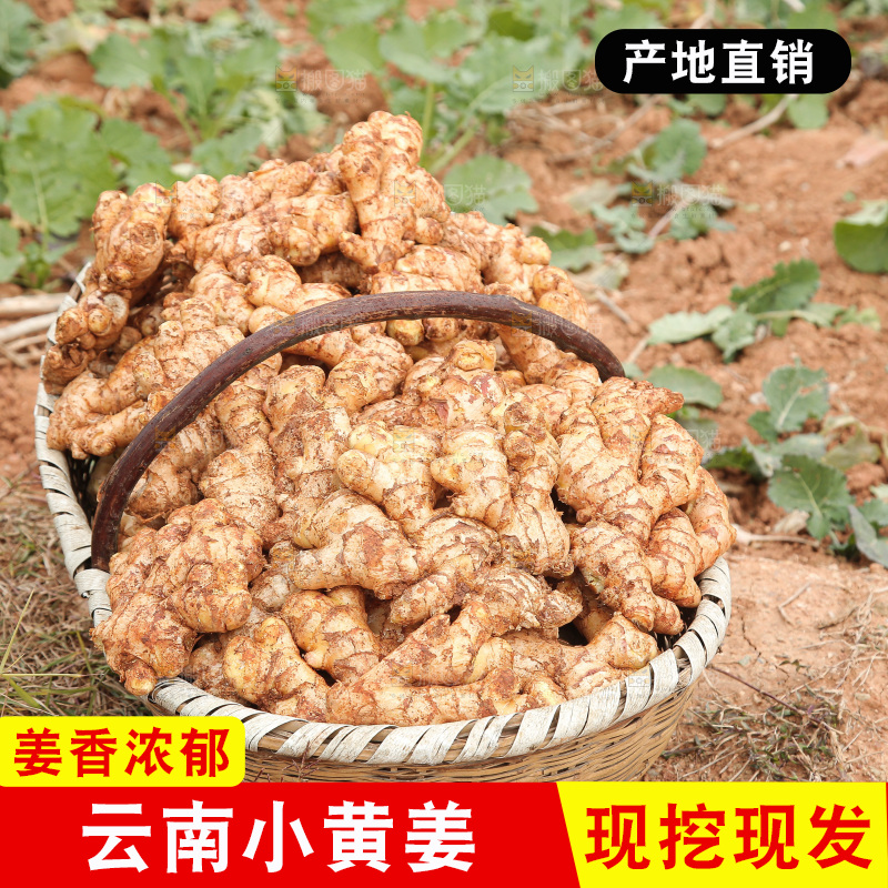 篮子里装着新鲜小黄姜