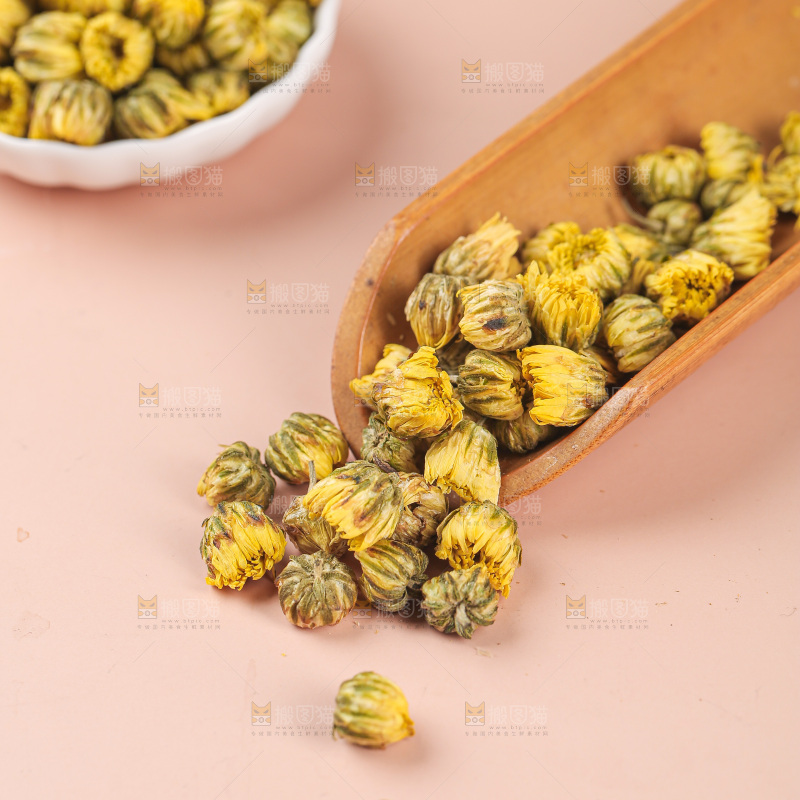 浅底上的胎菊
