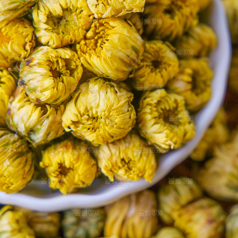 深底上的胎菊