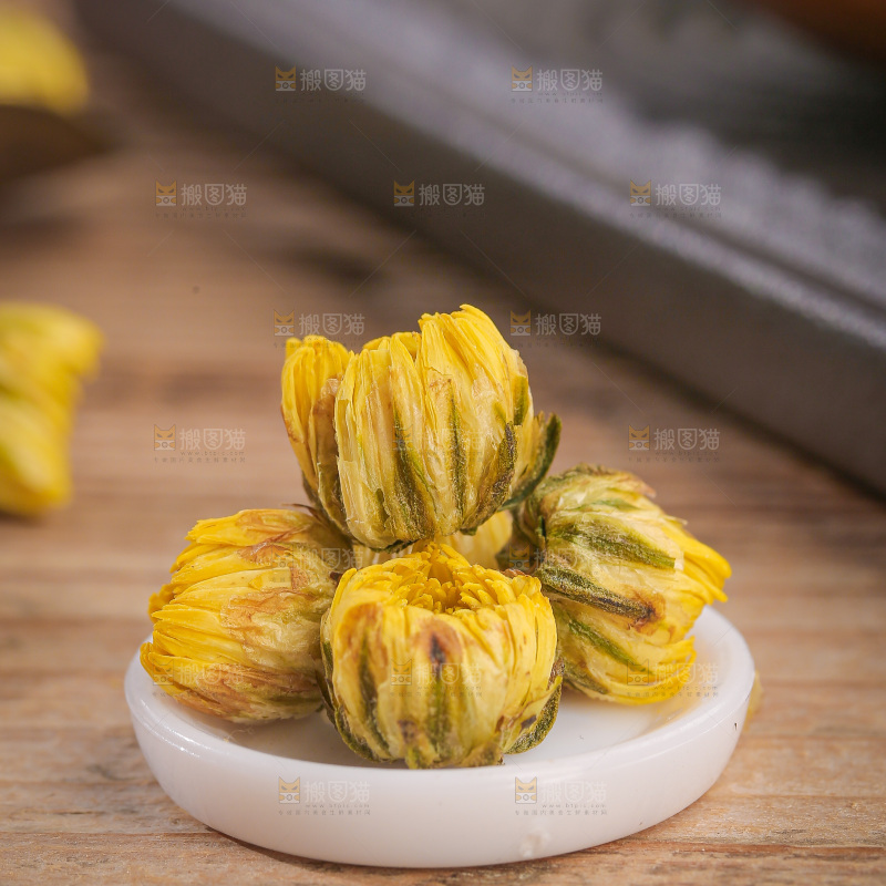 深底上的胎菊