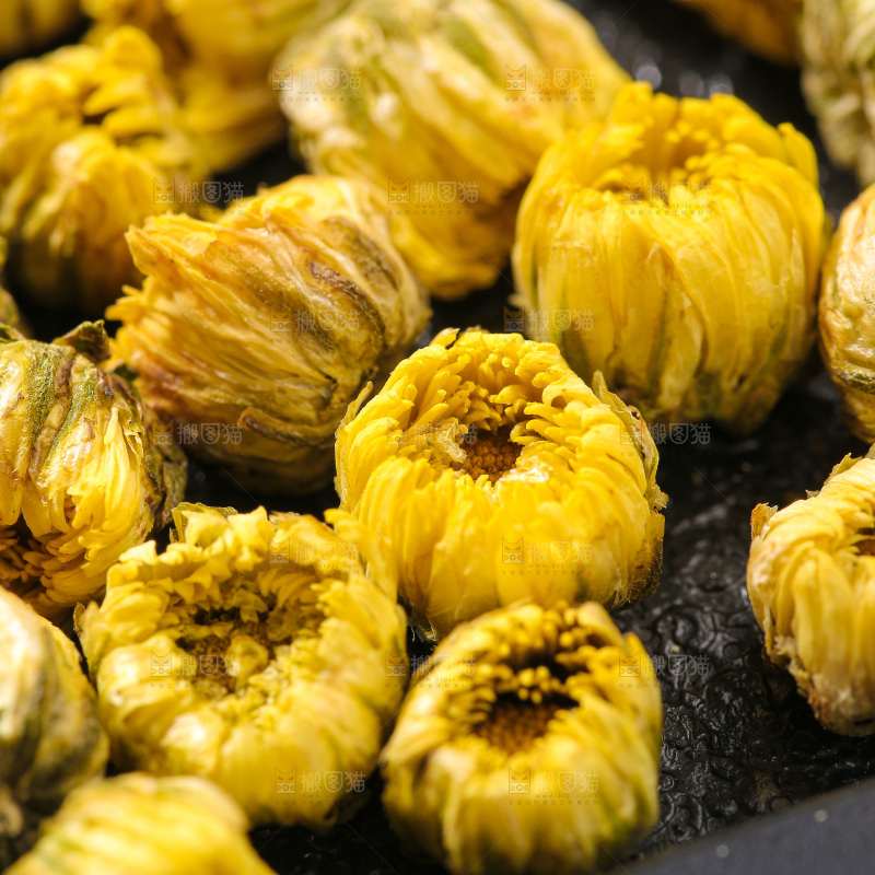 深底上的胎菊