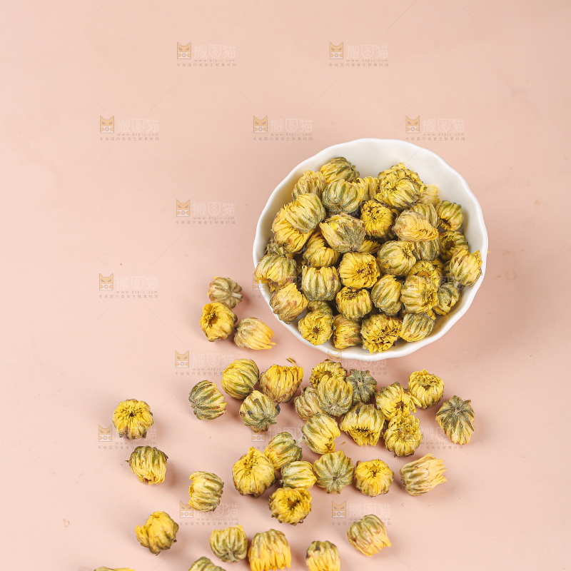 浅底上的胎菊