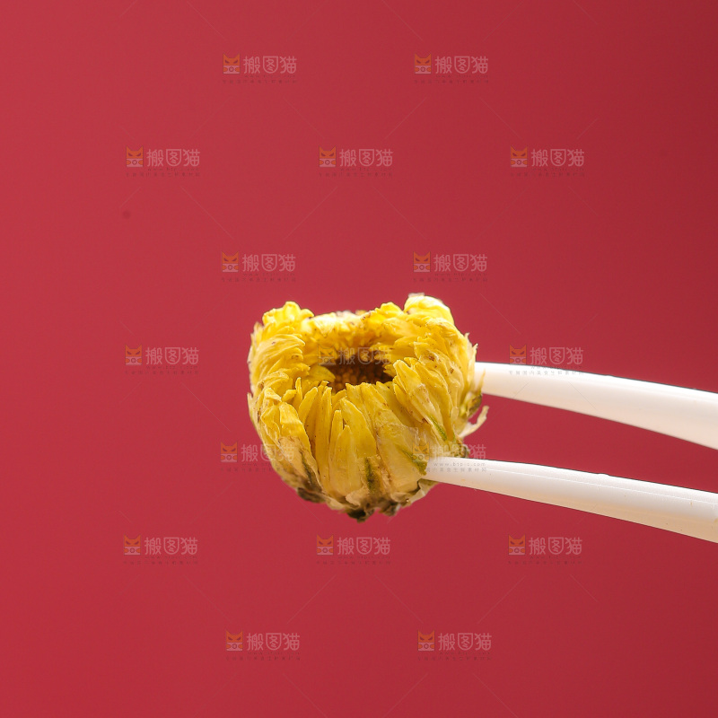 深底上的胎菊