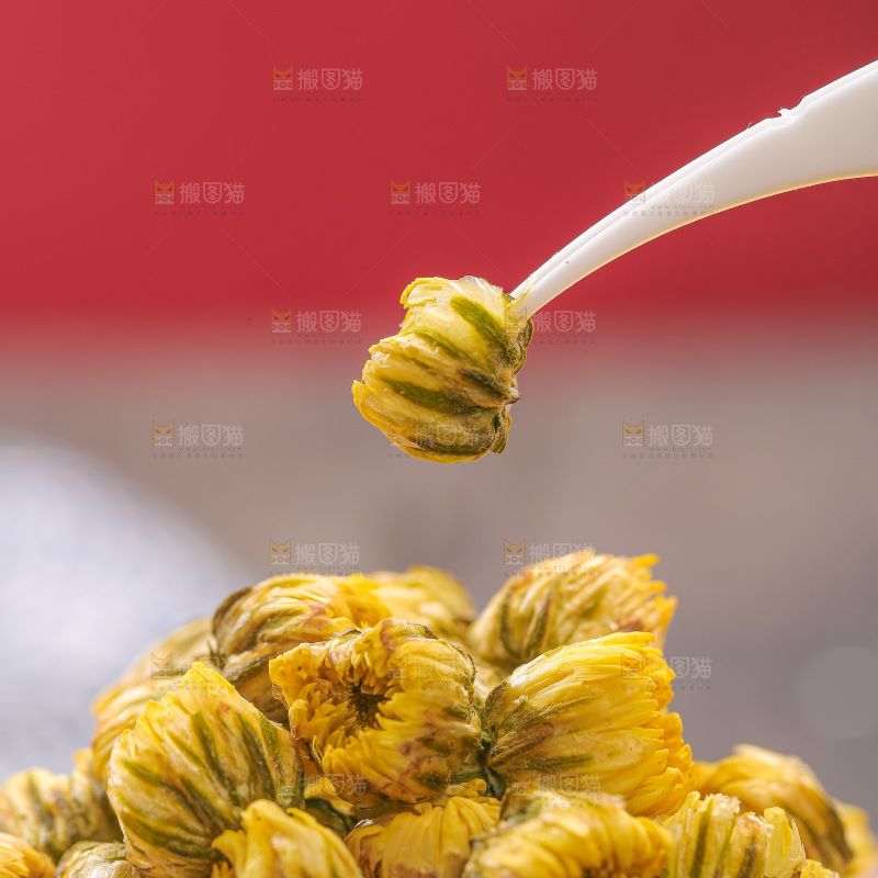 深底上的胎菊