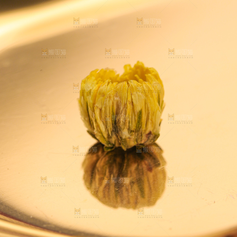 深底上的胎菊