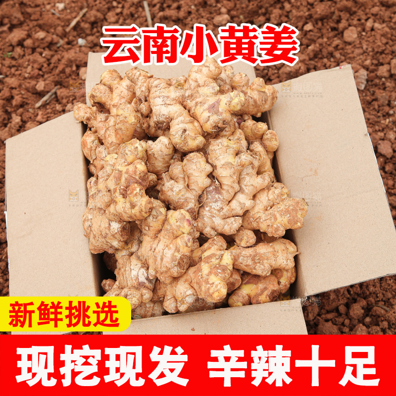 箱子里装着新鲜小黄姜