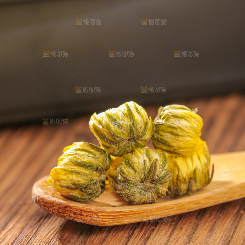 深底上的胎菊
