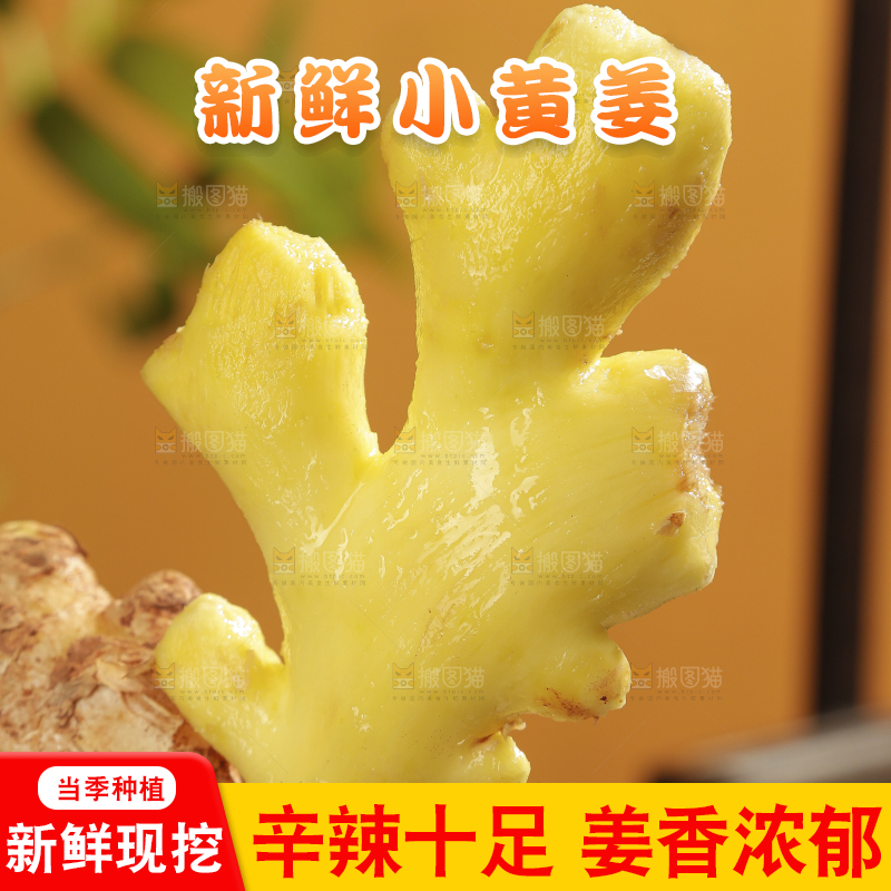 深底上的小黄姜