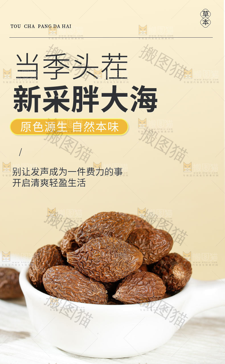 新采胖大海详情页