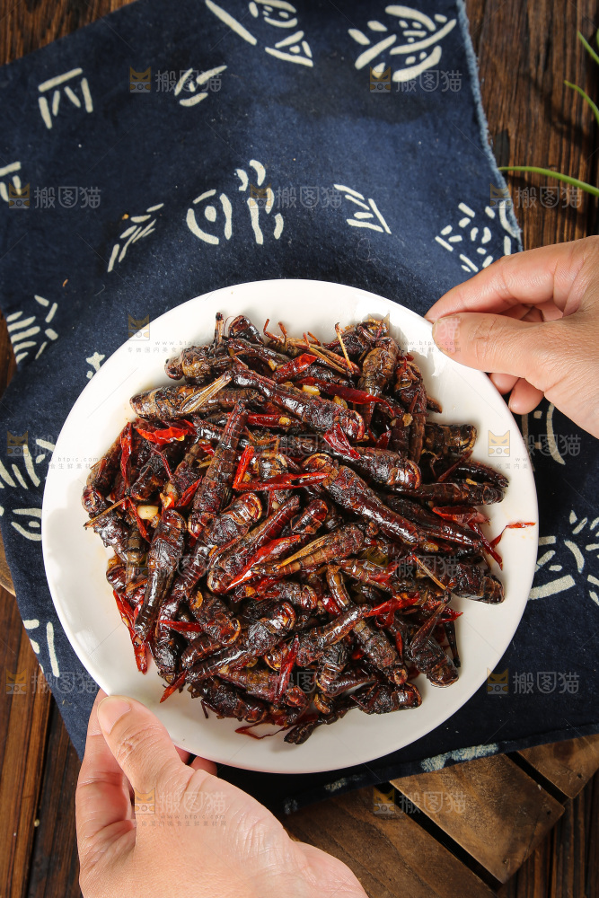 盘中里的干煸蚂蚱