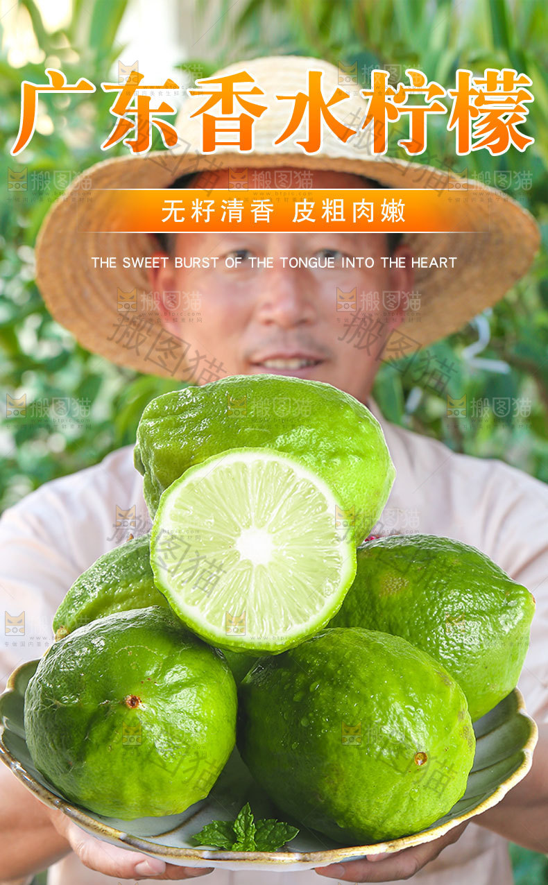 广东香水柠檬详情页